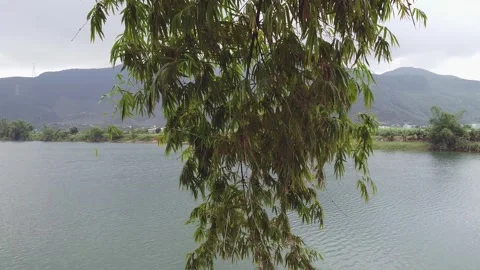 Scenes of forests, rivers, fields and clouds. Drone photo, Panoramic  Stock Footage 260589568