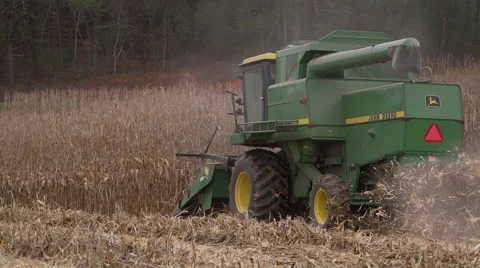 Scenes of harvesting corn Stock Footage 57716423