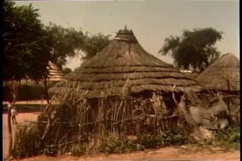 Scenes of huts, Settlement, road and civilians - 1980 Vídeos de archivo 106625768