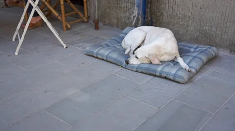 Scenes of Monterosso (5 of 8) Stock Footage 32135165