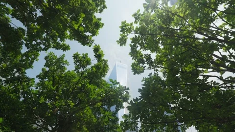 Scenes of New York Stock Footage 281308113