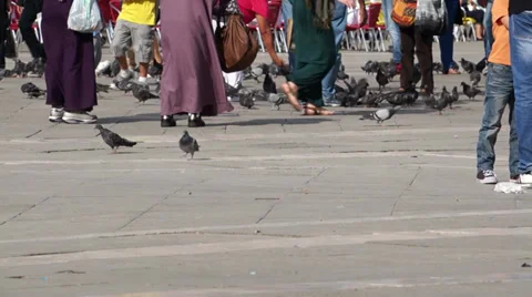 Scenes of the San Marco Piazza in Venice (4 of 5) Stock Footage 32198666