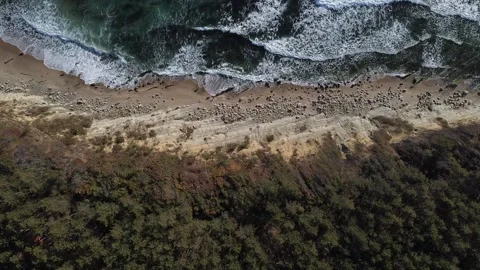 Scenes sea Stock Footage 138160422