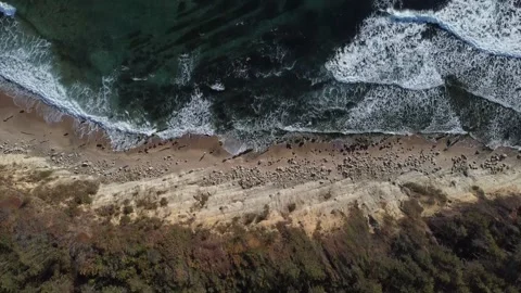 Scenes sea Stock Footage 138160437