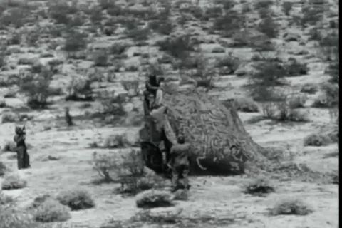 Scenes of soldiers hiding in the plain terrain - 1942 Stock Footage 107698728