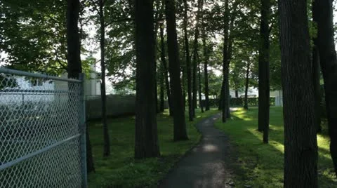 Scenes from the Suburbs - a walk into the trees Stock Footage 22025162