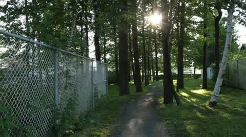 Scenes from the Suburbs - a walk into the trees of a small suburban park Stock Footage 22009118