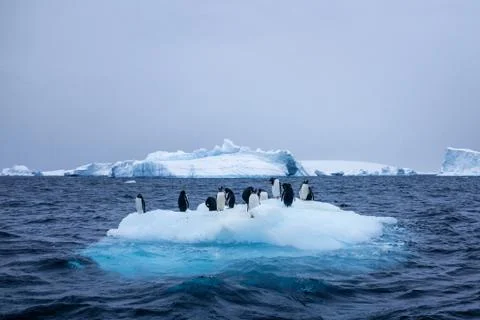 Scenes from a trip to Antarctica Stock Photos