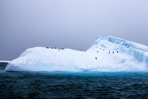 Scenes from a trip to Antarctica Stock Photos