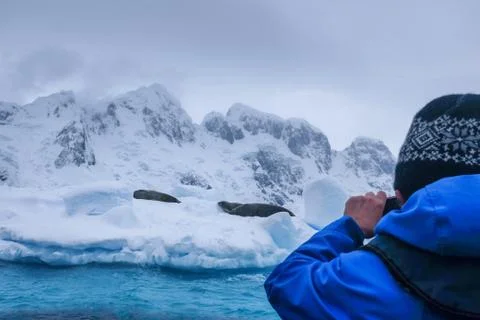 Scenes from a trip to Antarctica Stock Photos