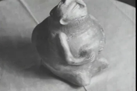 Scenes of various pottery and shells of ancient civilization - 1937 Video stock 103588343