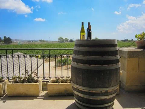 Scenes From a Winery Stock Photos