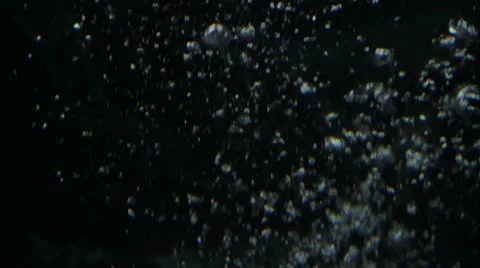 Scenes from a zoo - bubbles float by the camera Stock Footage 21942450