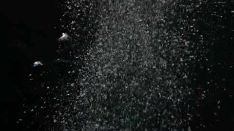 Scenes from a zoo - bubbles float by the camera on back background Stock Footage 21944813