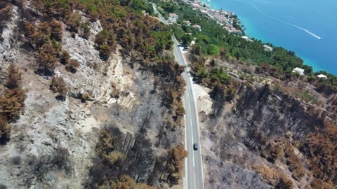 Scenic 4K Drone View of Car Driving Through Burned &amp; Lush Forests in Croatia Stock Footage 315534826