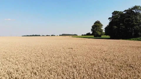 Scenic aerial drone view of wind trubines and green and yellow fields in France Stock Footage 290778286