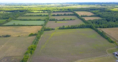 Scenic aerial over patchwork farm fields in late summer Stock Footage 115508795