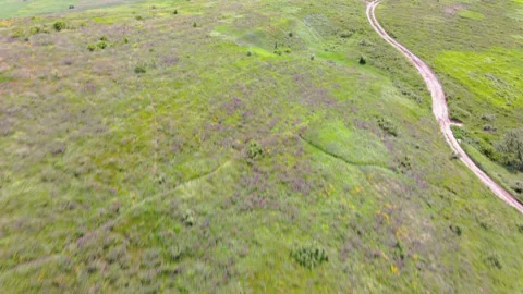 Scenic aerial panoramic view of idyllic rolling hills summer landscape Stock Footage 135538283