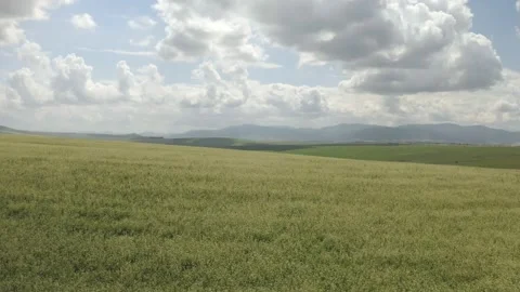 Scenic aerial panoramic view of idyllic rolling hills spring landscape in with Stock Footage 138249465