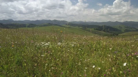Scenic aerial panoramic view of idyllic rolling hills spring landscape in with Stock-Footage 138473322