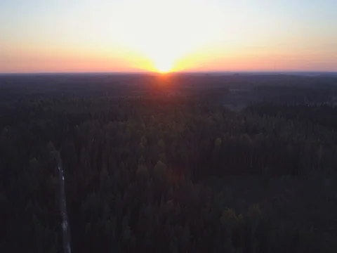 Scenic aerial view of autumn colors, trees, forests. Amazing sunset. Stock Footage