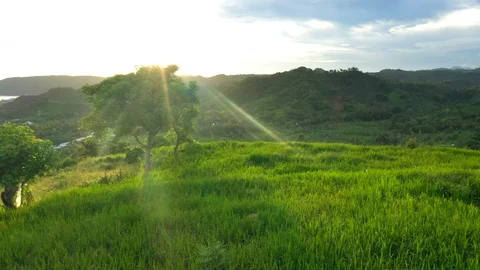 Scenic aerial view of idyllic rolling hills landscape at sunset. Sun lights Stock Footage 129278045
