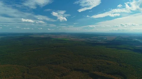 Scenic aerial view over fall foliage in autumn forest on gloomy autumn day. Stock Footage 125043849