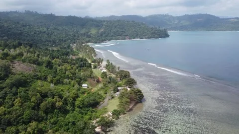 Scenic Aerial View of Pristine Beach Video stock 197966649