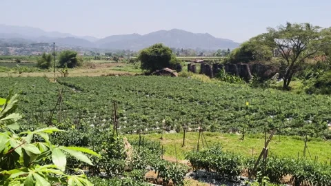 Scenic agricultural farm fields and mountains in rural countryside Stock Footage 346484994