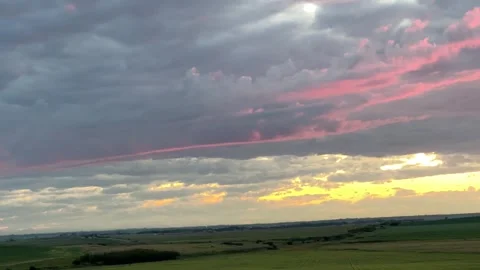 Scenic Alberta Farm Life with Cows Grazing and Dogs Running Free Outdoors Vidéo 312835547