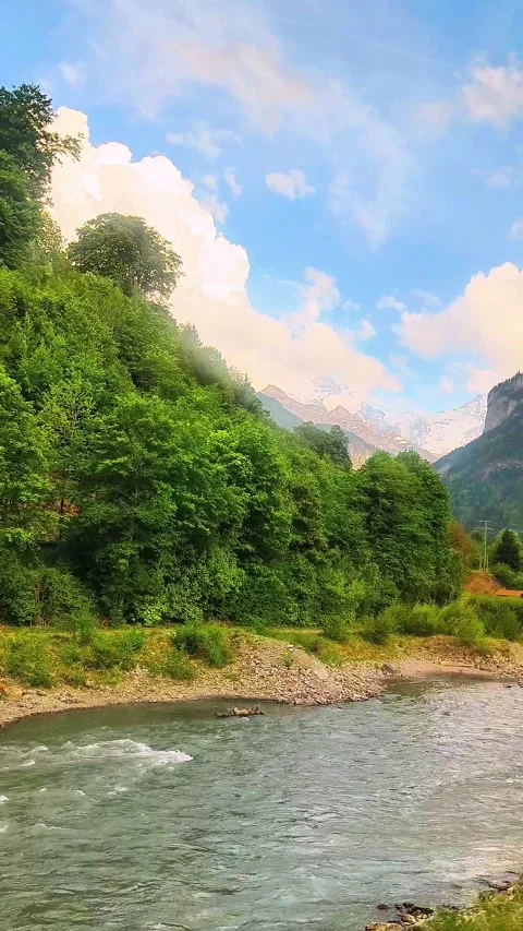 Scenic Alpine Forest and River Landscape near Lauterbrunnen Switzerland Stock Footage 334451917