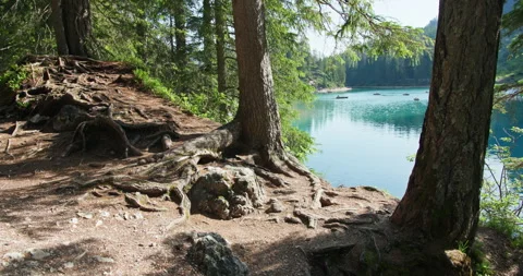 Scenic alpine lake shore with tree roots in dolomites Vídeos de archivo 340790866