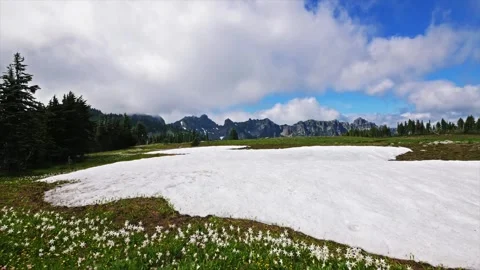 Scenic alpine meadow views of Mount Rainier National Park with snow and wildflow Stock Footage 332082955