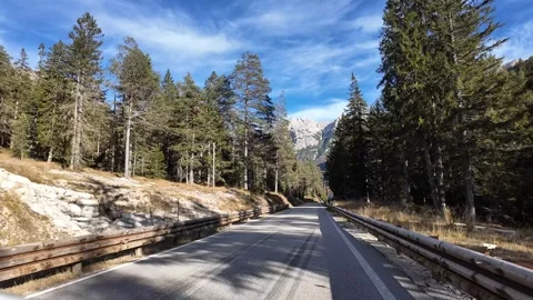 Scenic Alpine Road in Pines Stock Footage 292162478
