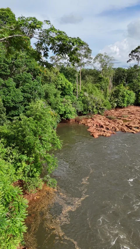 Scenic Amazon River Flowing Through Tropical Rainforest in Khao Sok, Thailand Video stock 335963029