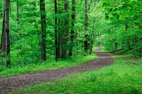 A scenic and empty path Stock Photos