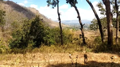 Scenic Arid Valley View Stock-Footage 341799561