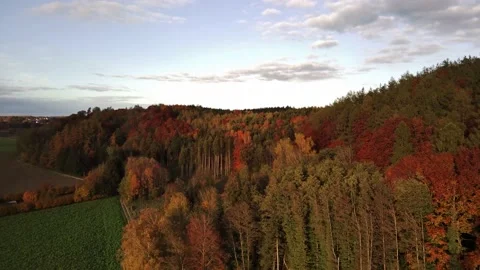 Scenic autumn forest 動画素材 152807492