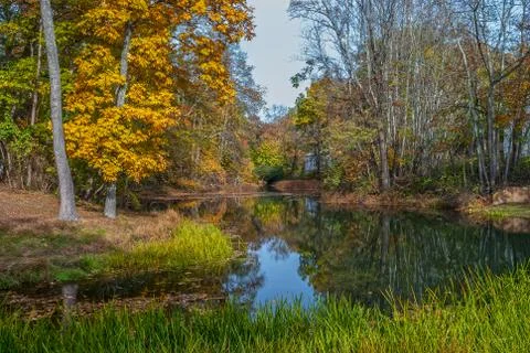 Scenic Autumn Pond Stock Photos