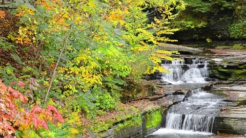 Scenic Autumn Waterfall Stock Footage 77840981