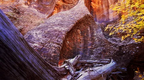 Scenic background Stock Footage 46059509