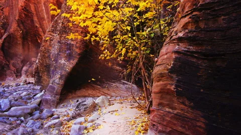 Scenic background Stock Footage 46059664