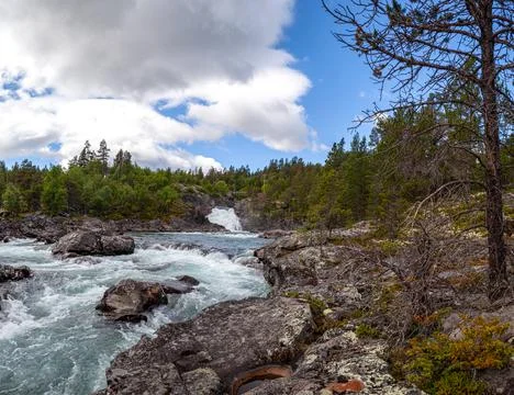 Scenic background with raging mountain river flows through stone rapids among Stock Photos
