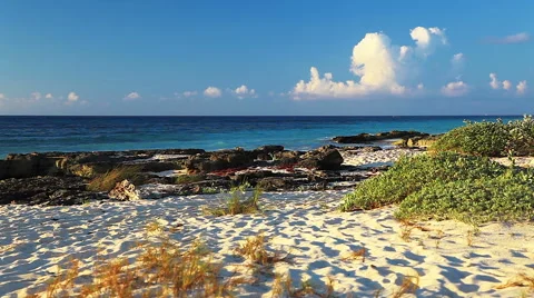 Scenic Beach Stock Footage 55909200