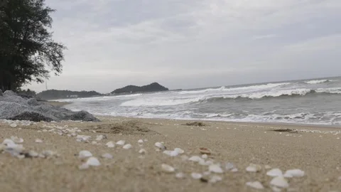 Scenic Beach with Gentle Waves and Soft Clouds in Peaceful Sky Stock Footage 317969680