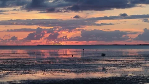 Scenic beach sunset reflecting on water Stock Footage 341849550