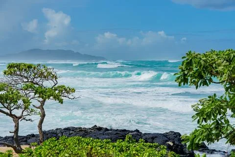 Scenic beach view with trees in front and ocean in back Stock Photos