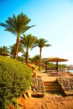 Scenic beachside path lined with palm trees, stone steps, and sun loungers .. Stock-Fotos