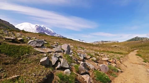 Scenic Berkeley Park Trail with Mount Rainier View Stock Footage 332087233