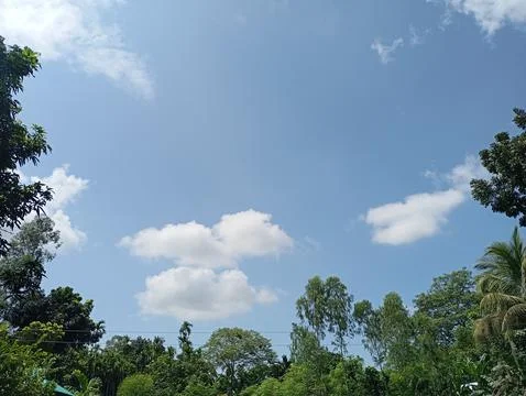 Scenic Blue Sky and Clouds Over Green Tree Line Stock Photos